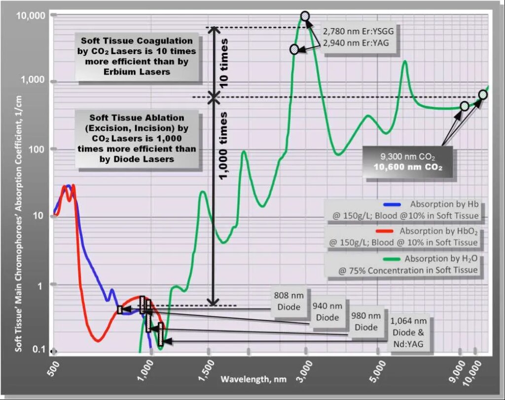 Figure 1: Optical absorption coefficient spectra[2] at different histologically relevant concentrations of water, hemoglobin (Hb), oxyhemoglobin (HbO2), and melanin. Logarithmic scales are in use