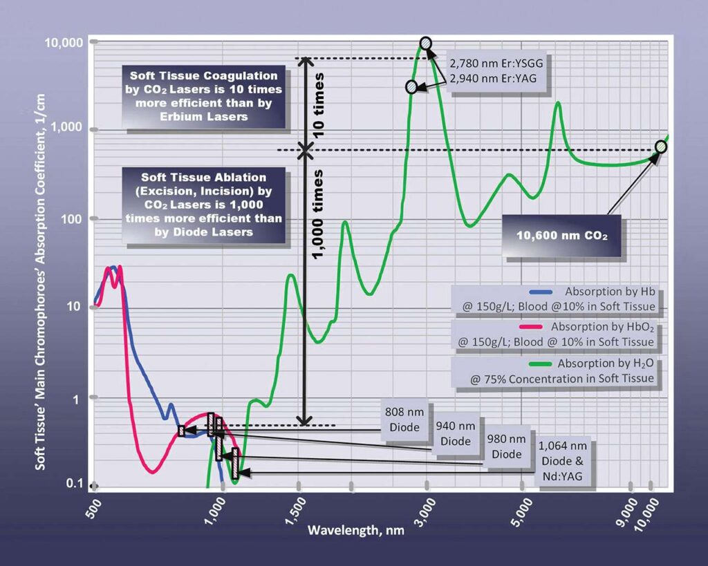 soft tissue optical absorption coefficient spectra