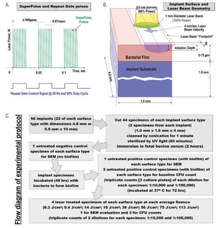 Figure 2: Drawings depicting (2A) repeat gating of SuperPulse modes with longer pulses ( ≥ 10 msec) at lower frequencies (≤ 30 Hz); (2B) movement of the laser beam over the biofilm adhering to the implant surface; and (2C) schematic of experimental protocol