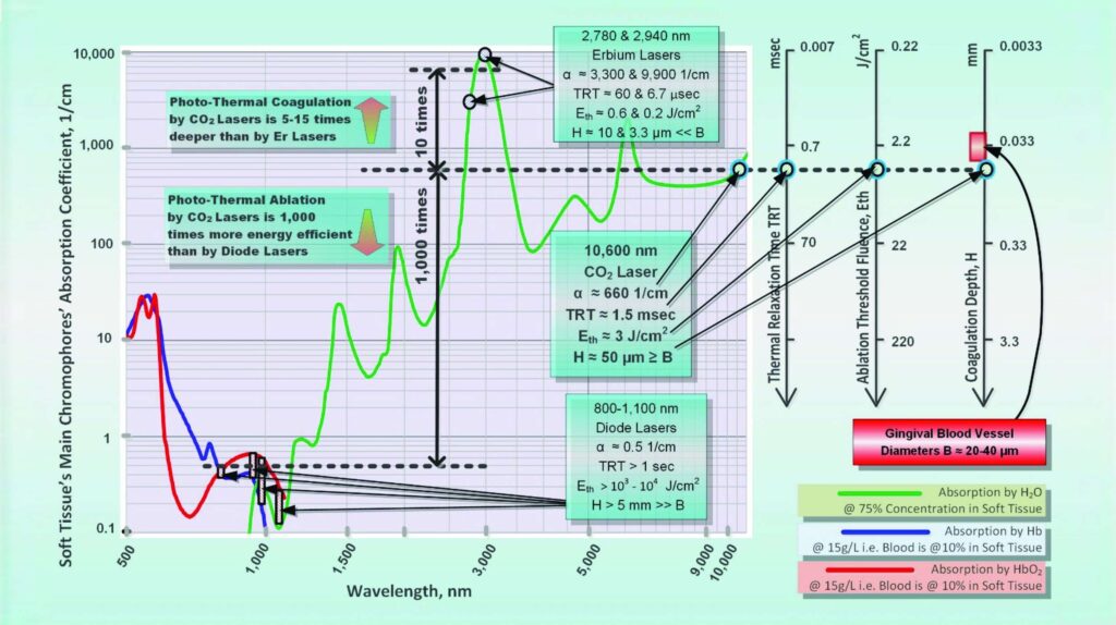 Spectra of Absorption Coefficient